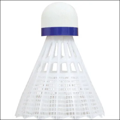 Stéphanie et ses camarades sont en train de jouer au badminton. Ils sont en cours...