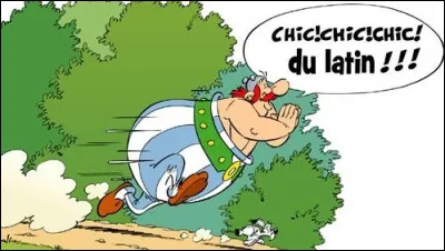 Stéphanie et ses camarades sont en train d'apprendre la première déclinaison. Ils sont en cours...