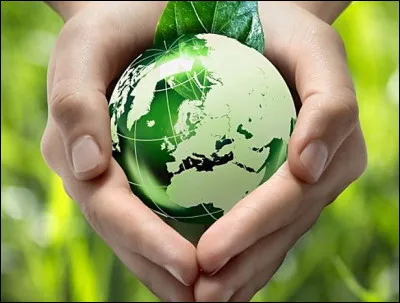 Stéphanie et ses camarades sont en train de découvrir la vie des volcans. Ils sont en cours...