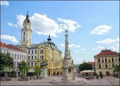 Fondée par les Romains dans le bassin du moyen Danube, prise et occupée par les Ottomans, elle a été une ville de l'empire des Habsbourg sous le nom de Fünfkirchen jusqu'en 1867 : c'est ...