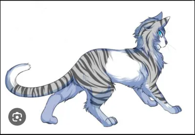 Qui était son mentor dans le Clan ?