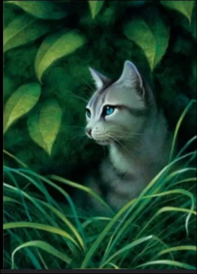 Qui est son compagnon ?