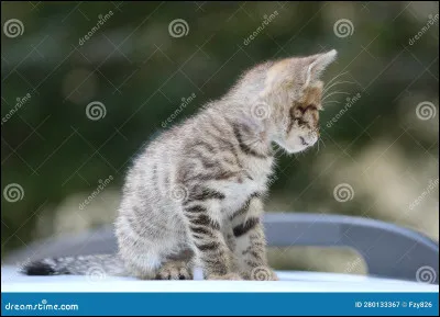 Et pour finir quel était son nom dapprentie ?