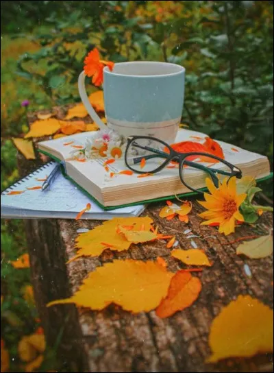 Qu'est-ce qui était de couleur verte dans un titre de Jules Verne ?