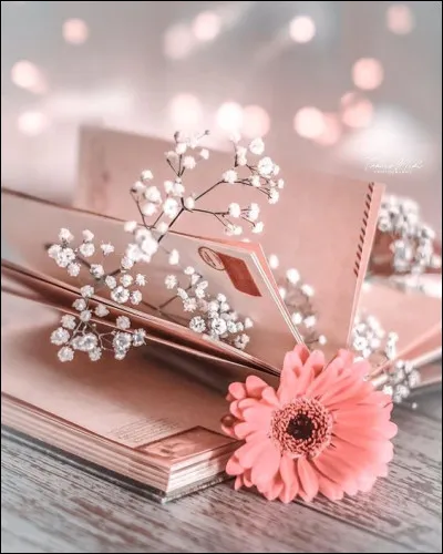 Quelle couleur est attribuée à "Daisy" par Colette Davenat ?