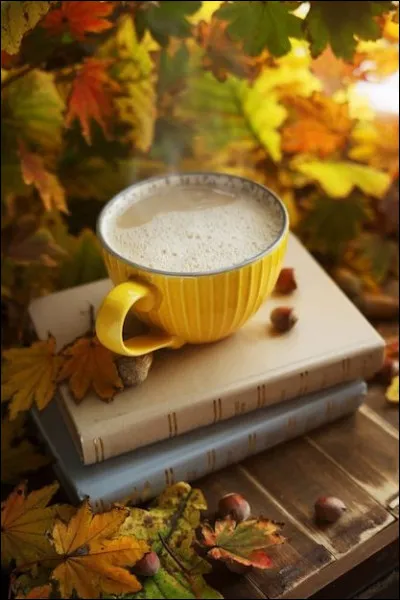 Retrouvez le livre de Gaston Leroux !