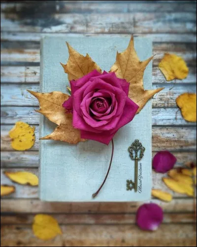 Qu'est-ce qui était pourpre dans le roman de Jean-Christophe Grangé ?