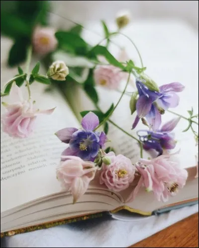 Comment était le taxi de Michel Déon ?