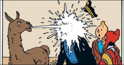 Complétez le titre de l'album de Tintin qui comporte un épisode célèbre au cours duquel un lama crache au visage du capitaine Haddock. ''Le Temple...".