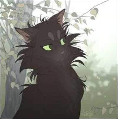 Qui était son premier mentor ?