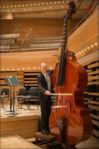 Comment s'appelle le plus grand et le plus grave des instruments de la famille des instruments à cordes ? (il nen existe que cinq au monde)