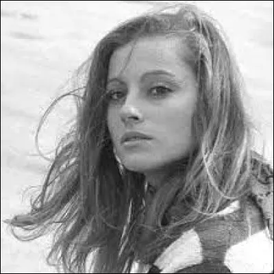 De quoi a besoin Véronique Sanson d'après le titre de sa chanson ?