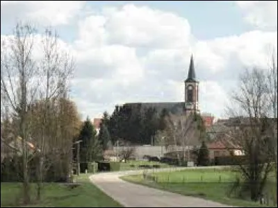 Nous sommes en Lorraine, à Insming. Village de l'arrondissement de Sarrebourg-Château-Salins, il se situe dans le département ...