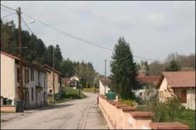Je vous emmène au pied des Vosges, à Lachapelle. Village de l'aire d'attraction Bacchamoise, il se situe dans le département ...