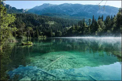 Combien la Suisse possède-t-elle d'États fédérés (ou cantons) ?