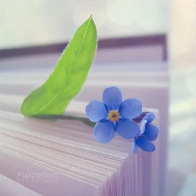 Quelle est la couleur de la bicyclette de Régine Deforges ?