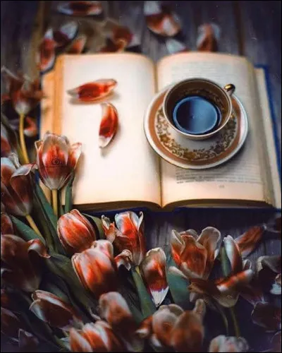 Pour William Irish , la mariée était en..