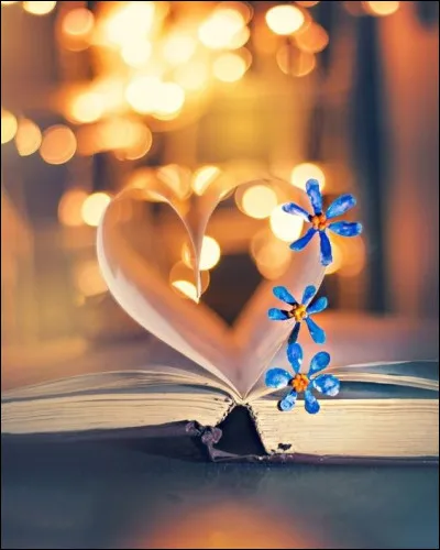 Pour l'écrivaine Katherine Pancol, comment sont les yeux des crocodiles ?