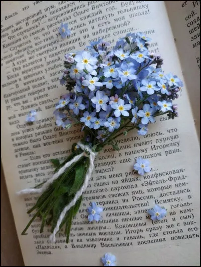 Dans le roman d'Agatha Christie, comment est le train ?