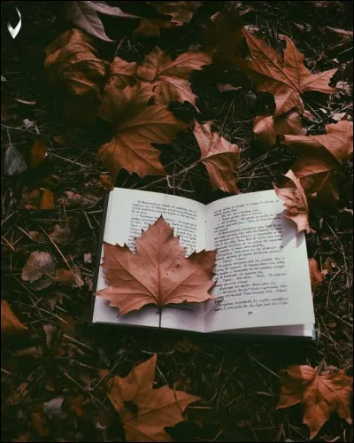 Comment sont les Nymphéas de Michel Bussi ?