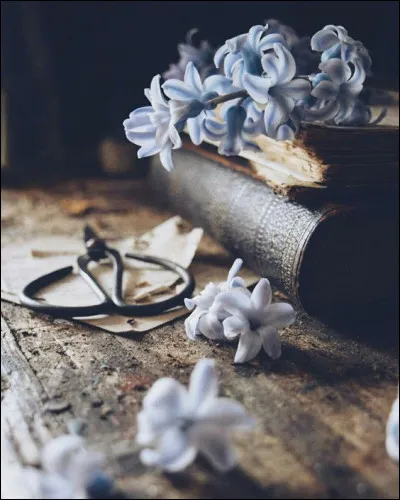 De quelle couleur est l'herbe dans le titre du roman de Béatrice Sparks ?