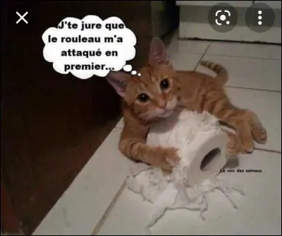 Un clan vous attaque, vous :