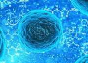 Quiz Biologie - La cellule