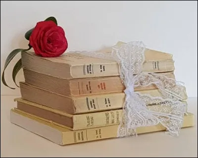 Dans le livre de Paul Bowles, de quelle couleur est la jungle ?