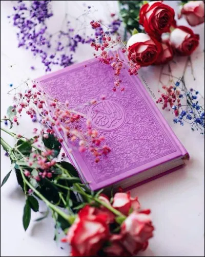 Qu'est-ce qui était pourpre dans le roman d'Alice Walker ?