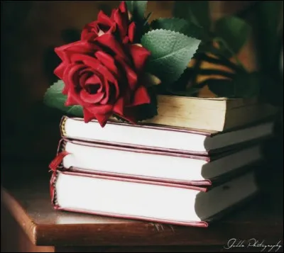 Dans le roman d'Anatole France, comment était le lys ?