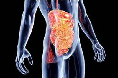 Quel terme inadéquat utilise-t-on bien souvent pour désigner la gastro-entérite ?