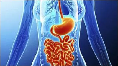 Combien de cas de gastro-entérite provoqués par le rotavirus retrouve-t-on annuellement ?