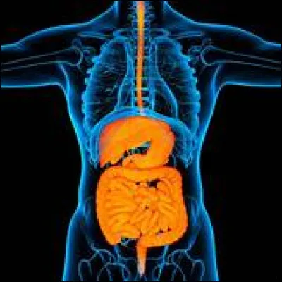 Quelle proportion des enfants décédés avant leurs 5 ans sont morts des suites de la gastro-entérite ?