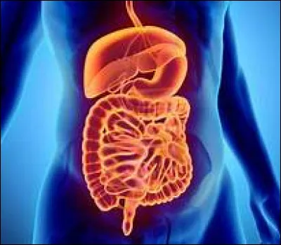 Chez les nourrissons, sur quelle partie du corps pourra-t-on observer un enfoncement de la peau en cas de déshydratation ?