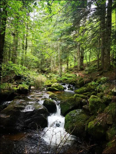 Quel est ton lieu de vie ?