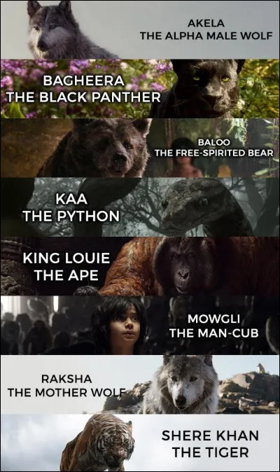 Quelle est ta personnalité ?