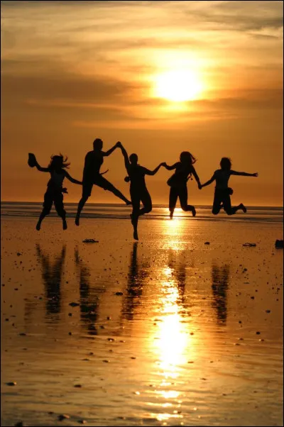 Quel est ton niveau social ?