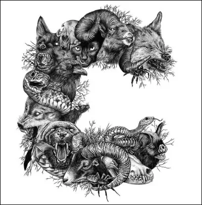 Et pour finir : quel animal préfères-tu ?