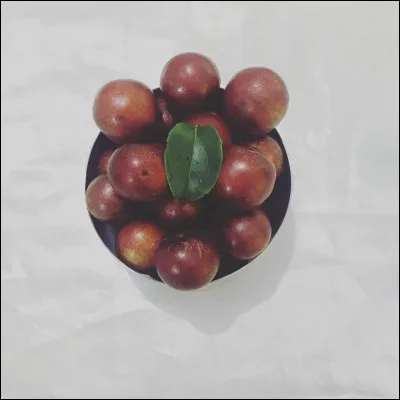 Quels sont ces fruits ?