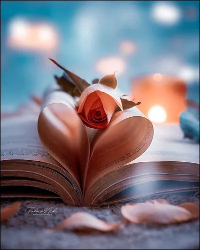 Georges Bataille a écrit :