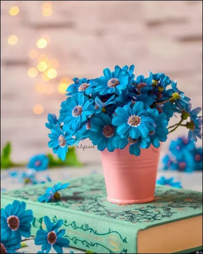 Comment était "Le Lotus..." d'Hergé ?