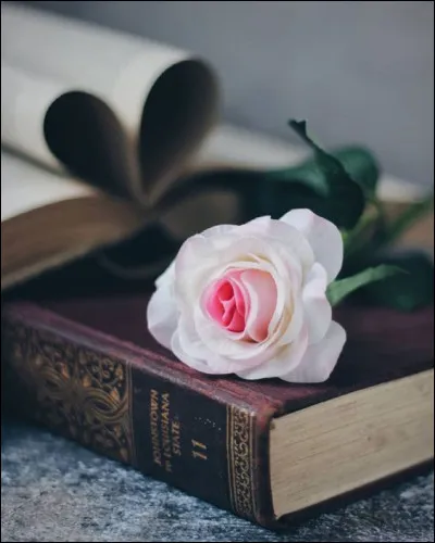 Dans le roman de Michel Brosseau comment était la dame blanche ?