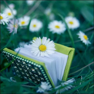 Richard Llewellyn titrait "Qu'elle était... ma vallée !"