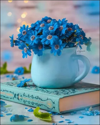 Comment étaient "Les Soldats" de Pierre Loti ?