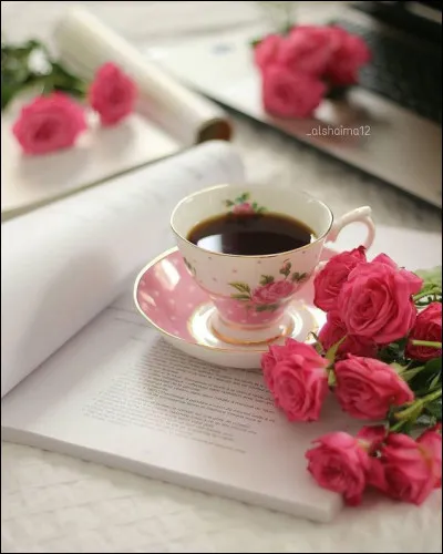 Erica Spindler nous a décrit "L'Ombre..." :