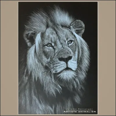 Quel animal majestueux ! C'est le roi de la savane, comment s'appelle-t-il ?