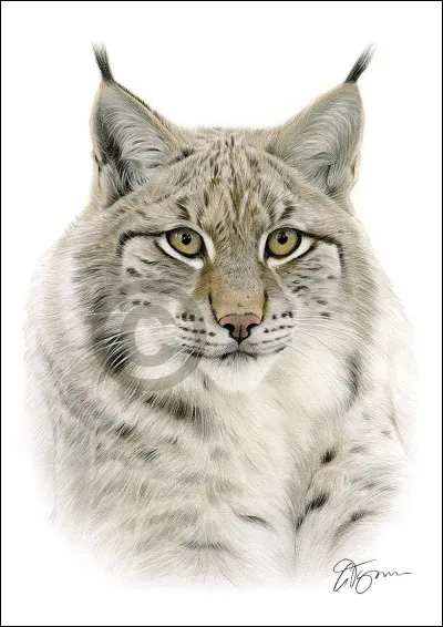 Et celui-là, comment s'appelle-t-il ?