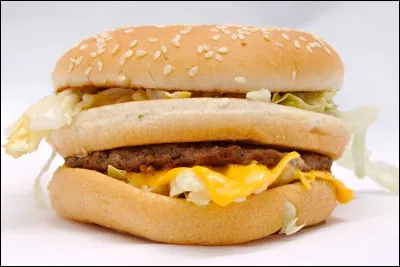 Le plat préféré des Français est le Big Mac.