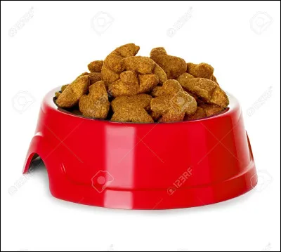 Les chats et les chiens mangent de la pâtée et des croquettes.