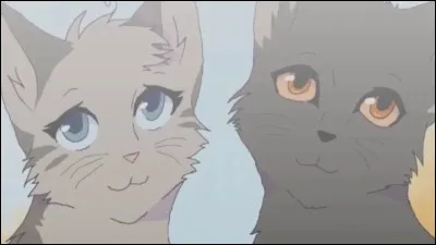 Pelage dOrage est le fils de Millie.